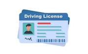 Driver Licence